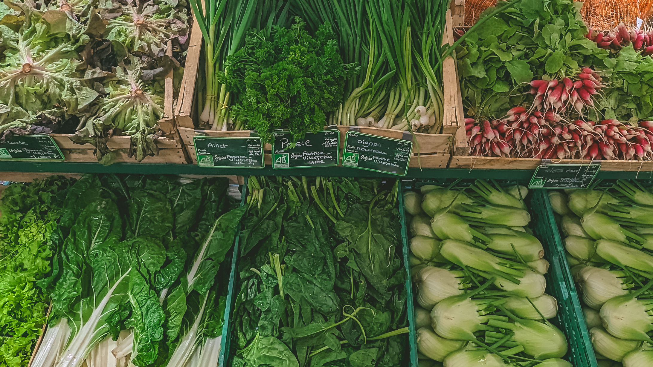 PXL_20240430_073956595.MP PXL_20240430_073956595.MP