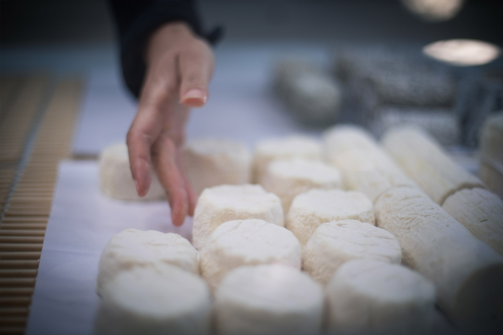 fromage et produits laitiers de charente